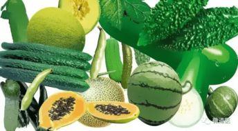 牙牙乐吃瓜,揭秘瓜果世界里的甜蜜诱惑