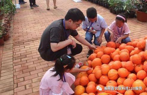 夫妻吃瓜菜晕倒,揭秘背后的惊人真相