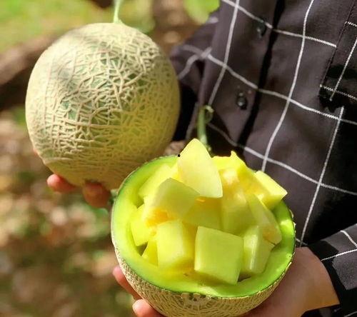 超级好看吃瓜,揭秘娱乐圈幕后故事