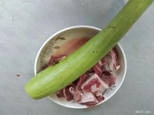 匏瓜可以吃吗,美味可口的食用之谜