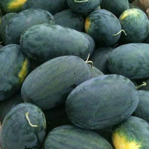 28个人吃瓜,共享夏日清凉时光