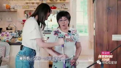 吃瓜恶婆婆,揭秘婆媳矛盾背后的真相