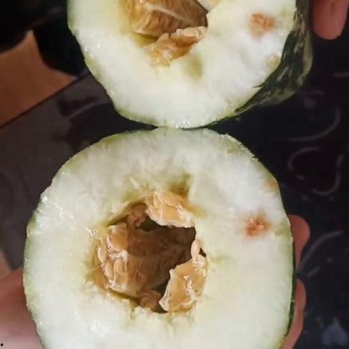 朋友问吃的什么瓜,朋友相聚，品味各式瓜果盛宴