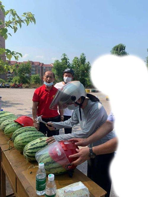 盈江吃瓜事件,一场网络狂欢背后的真相与反思