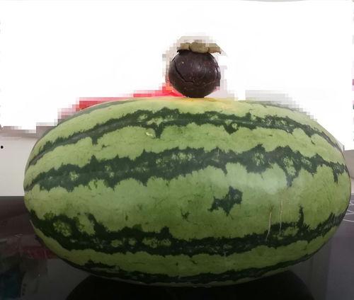 建国带大家吃瓜,建国带你领略美食与娱乐的跨界盛宴