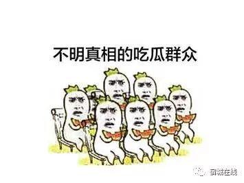 有关吃瓜的群众,吃瓜群众视角下的娱乐圈风云录