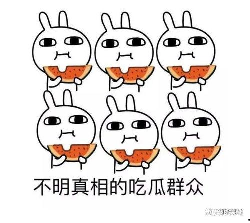 笑话吃瓜人,吃瓜者的欢乐与智慧