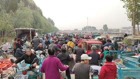 专业吃瓜看热闹,专业吃瓜达人带你领略娱乐圈风云变幻