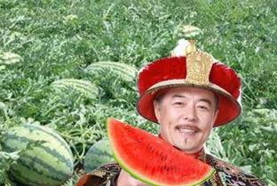 吃瓜国王,宫廷中的瓜田传奇