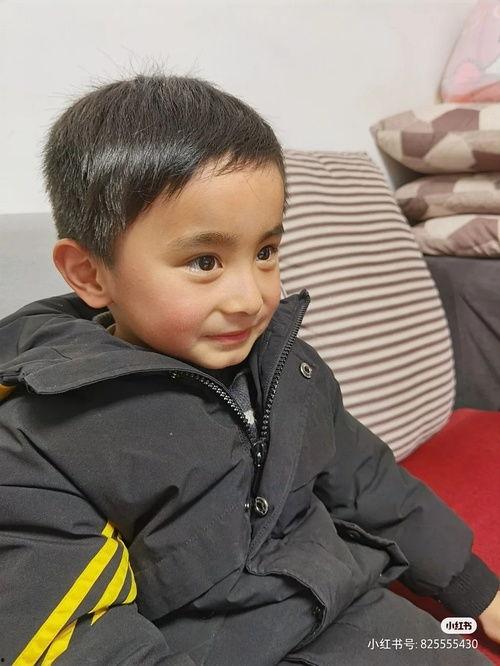 吃瓜八卦小楼,吃瓜小楼里的八卦风云