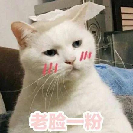 晚安吃瓜表情包,揭秘晚安吃瓜表情包的魅力