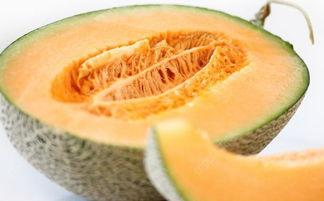 肠胃痛可以吃哈密瓜吗,哈密瓜是适宜选择吗？