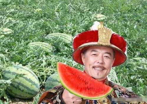 乾隆街边吃瓜,乾隆皇帝街头品瓜趣事