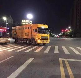 厦门动车队吃瓜,一场别开生面的“吃瓜”之旅