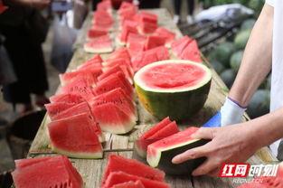 郴州吃瓜事件,一场网络舆论的风暴与反思