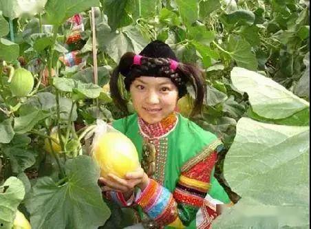 蒙族吃瓜,蒙古族独特的“吃瓜”文化