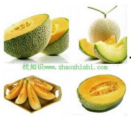 胃充血吃哈密瓜,哈密瓜与胃部健康的微妙关系