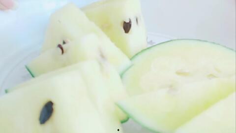 狗吃沙漠黄色瓜