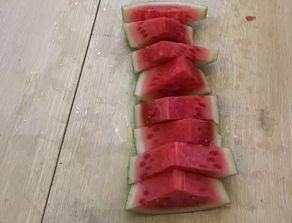 花式吃瓜比赛方法,花式吃瓜比赛，创意无限挑战极限