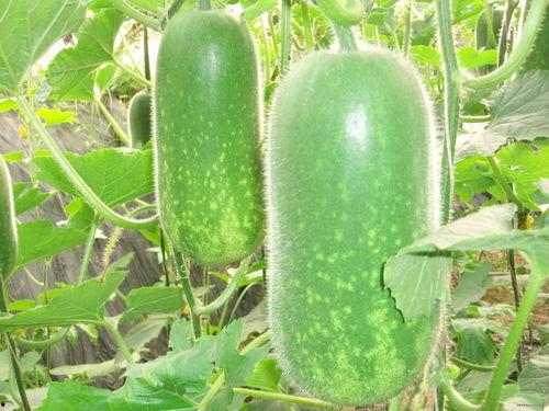 犽犽吃瓜,揭秘娱乐圈那些不为人知的幕后故事