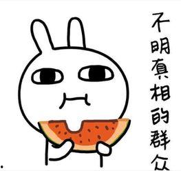 媳妇吃瓜搞笑文案短句,笑料百出，欢乐无限