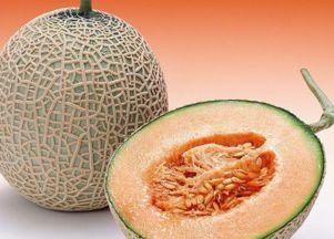 吃哈密瓜原版,探寻新疆瓜果的传奇魅力