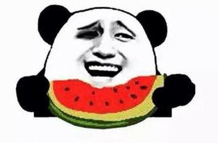 吃小白瓜图片搞笑